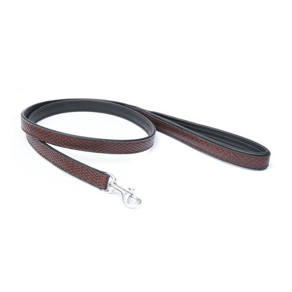 Dog Leads